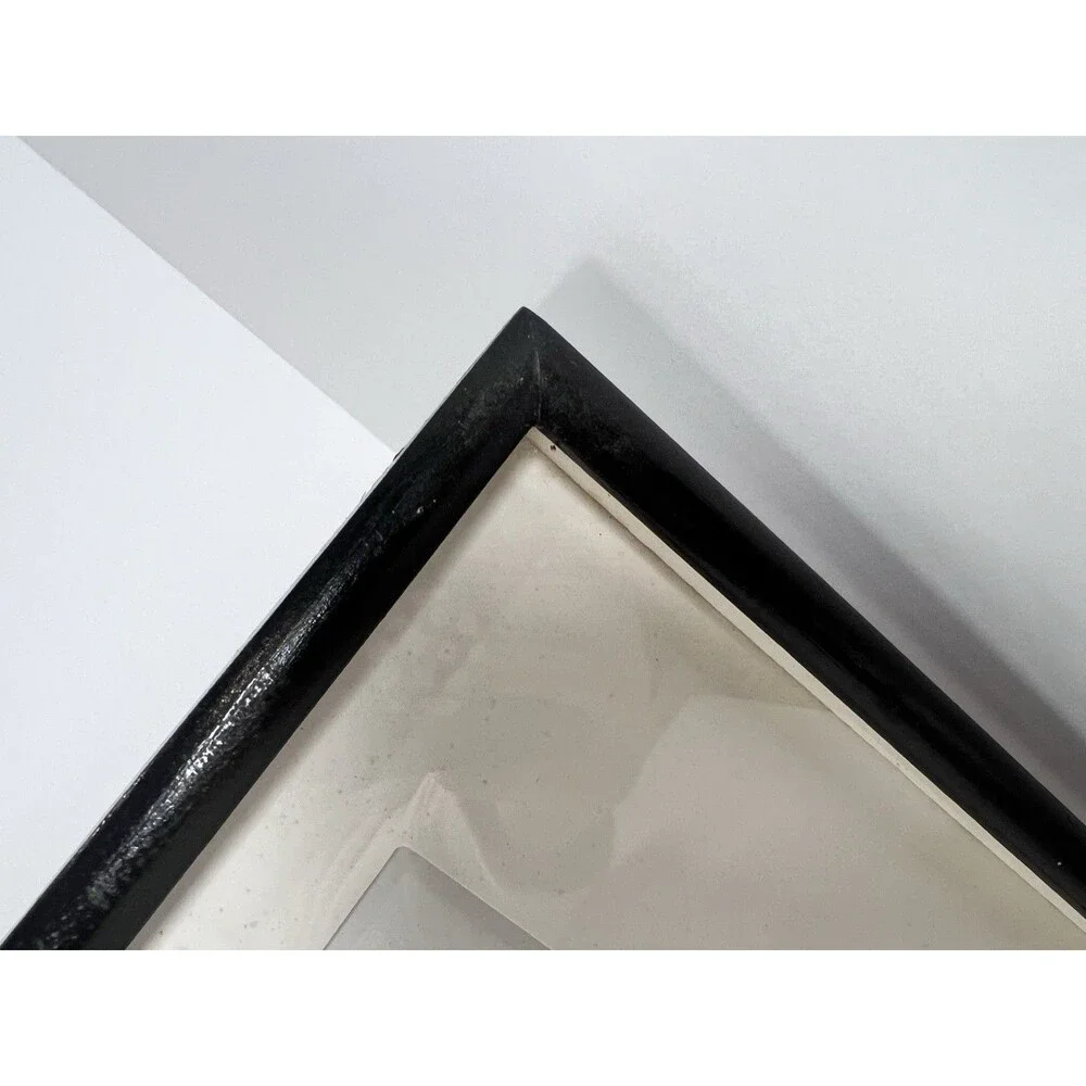 Flying Ducks Wall Decor Vintage Feather Art‎ Shadowbox 3D Framed Marshland scene